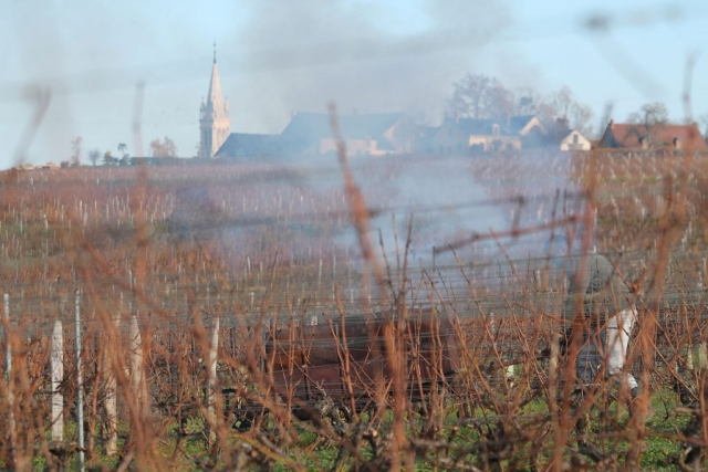 Saint Andelain Pouilly-Fumé