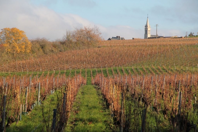 Saint Andelain Pouilly-Fumé