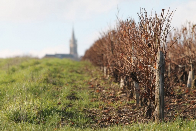 Saint-Andelain Pouilly-Fumé